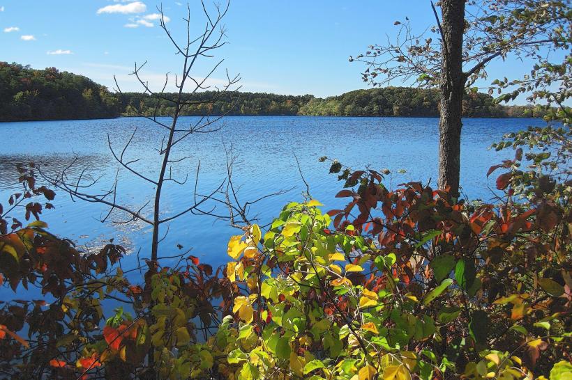 Fresh Pond Reservation