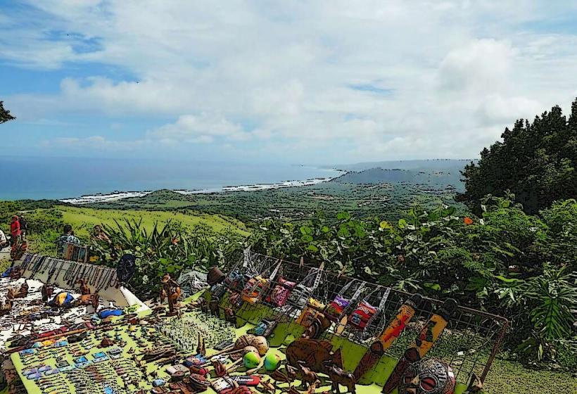 Cherry Tree Hill