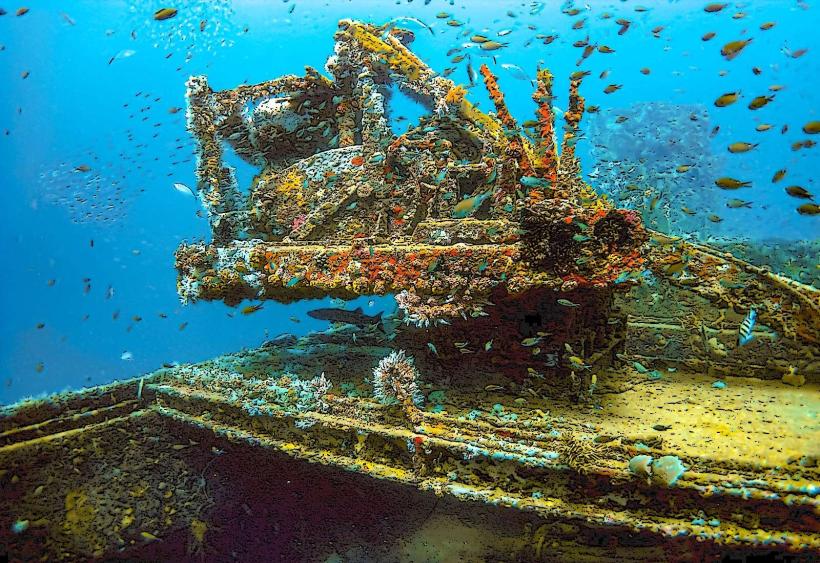 Petit Martinique Dive Sites