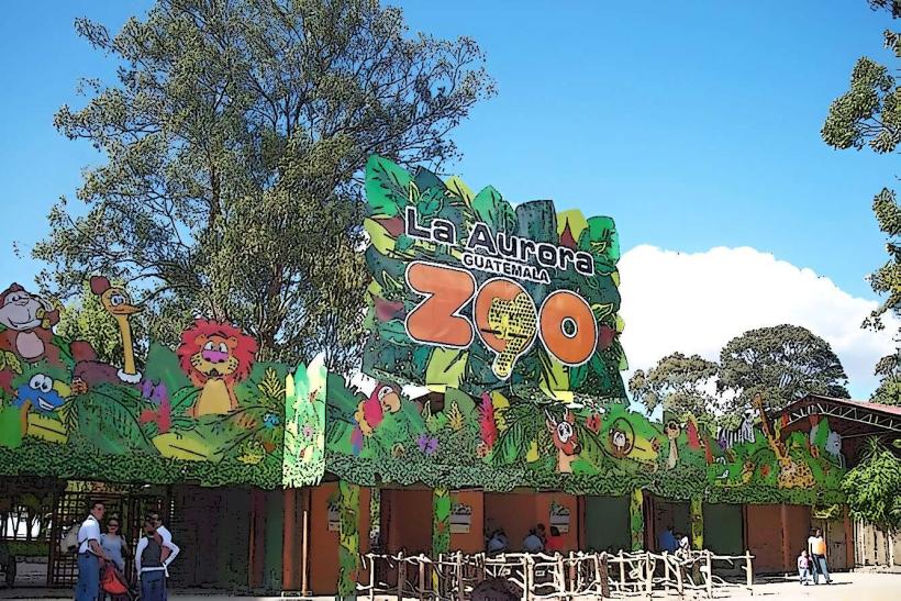 La Aurora Zoo