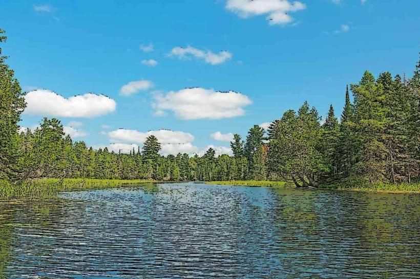 Lake Carlos State Park