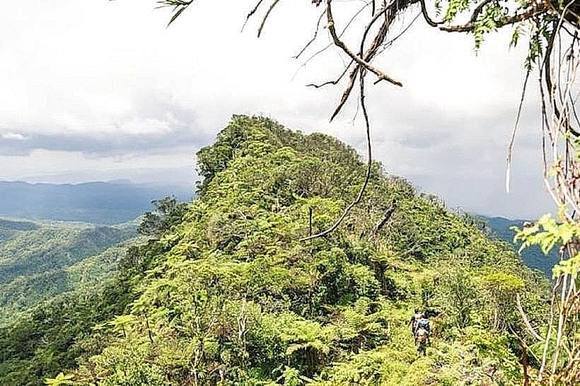 Mount Tomanivi (Mount Victoria)
