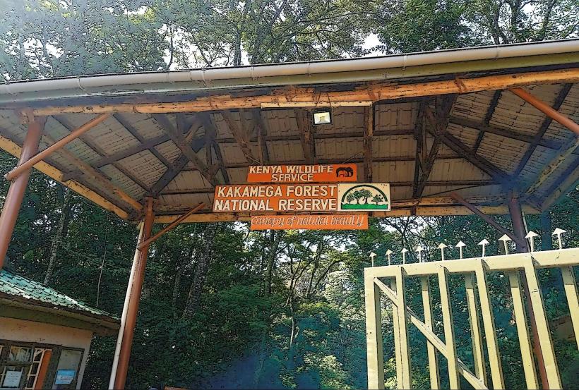Kakamega Forest National Reserve