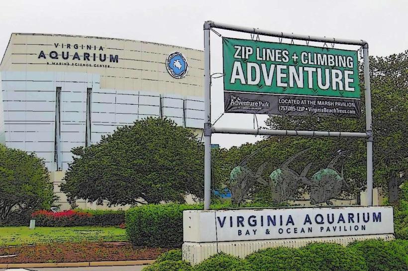 Adventure Park at Virginia Aquarium