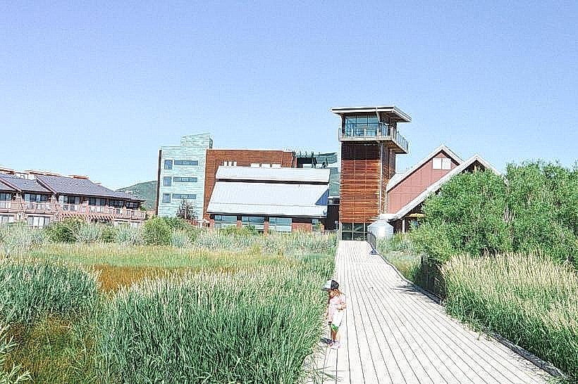 Swaner Preserve and EcoCenter