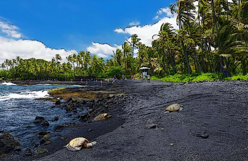 Punalu'u Beach