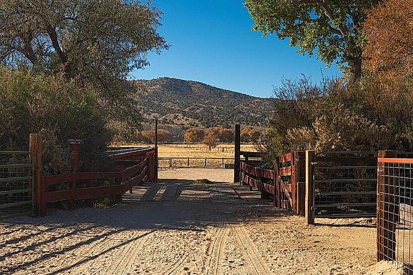 Silver Saddle Ranch