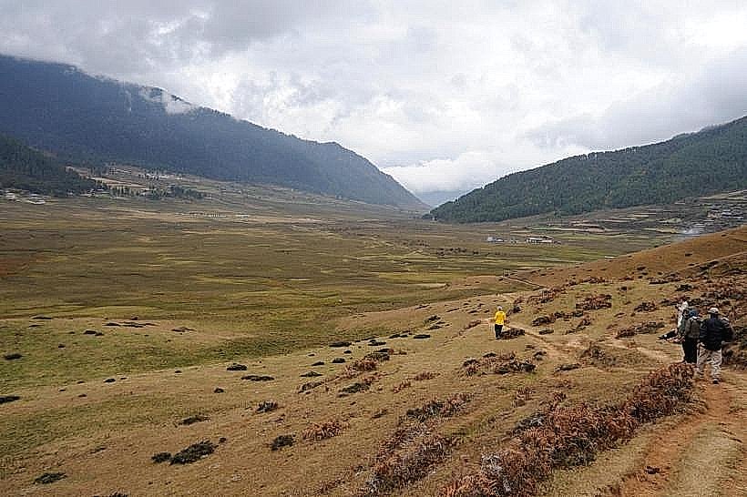 Gangtey Nature Trail