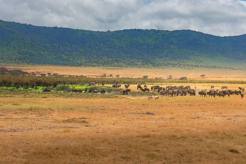 Lemek Conservancy