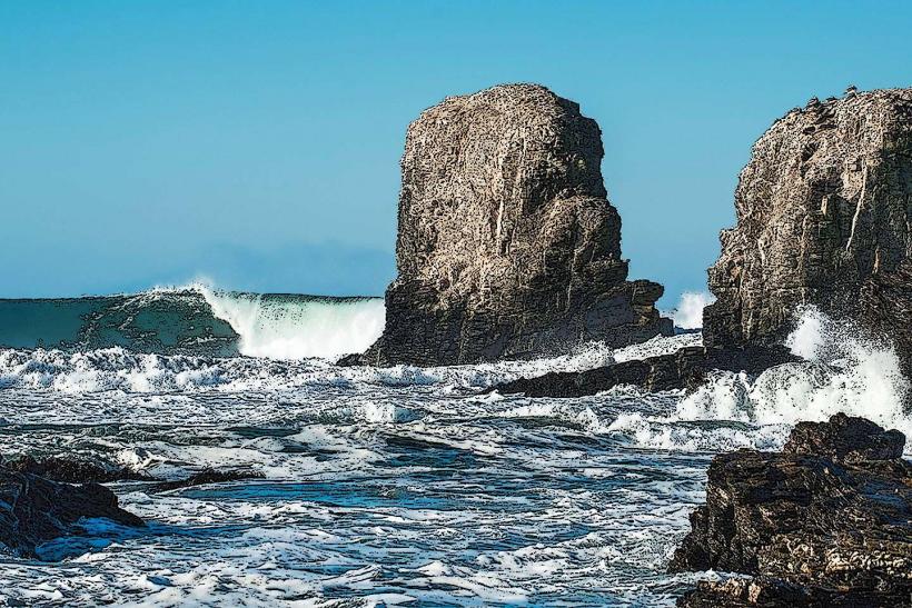 Punta de Lobos