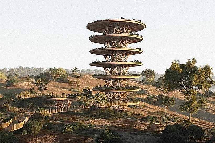 Nazinga Wildlife Observation Towers