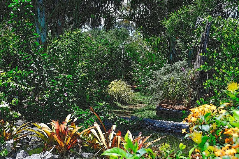 Jardin Botanique de Cayenne