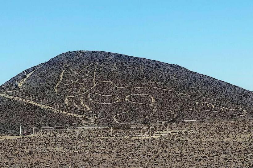 Линиите на Nazca