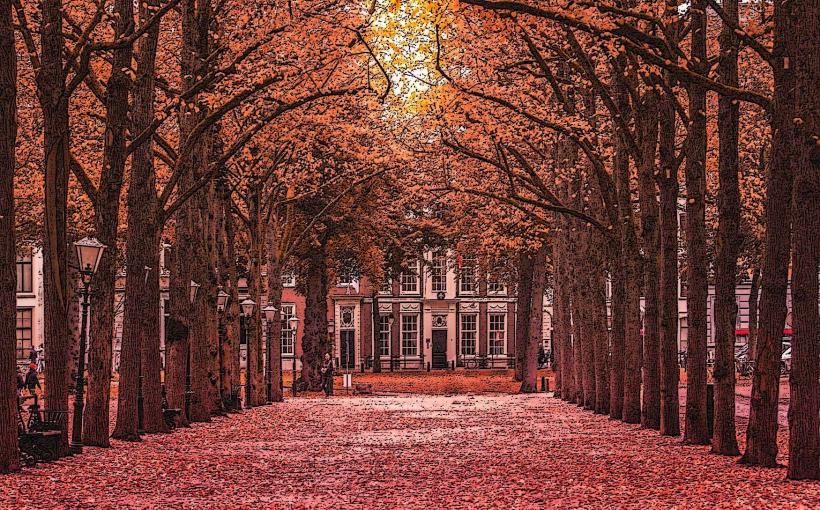 Lange Voorhout