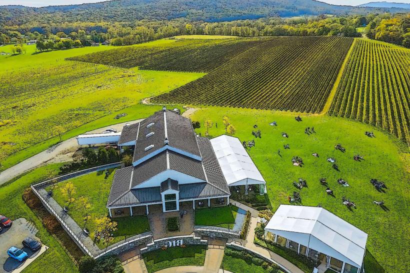Big Cork Vineyards