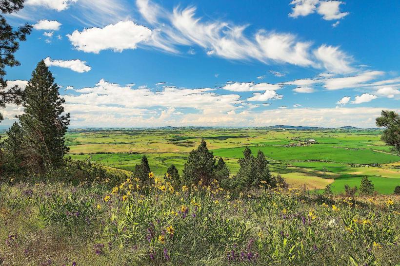 Kamiak Butte County Park