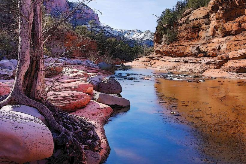 Coconino National Forest