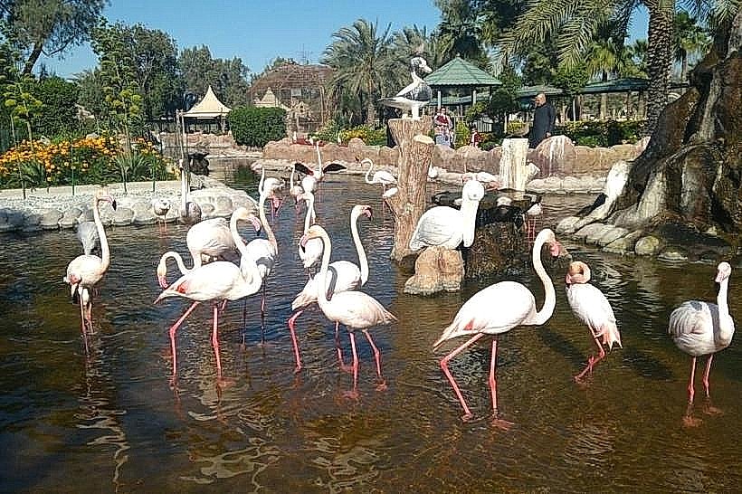 Al Areen Wildlife Park & Reserve