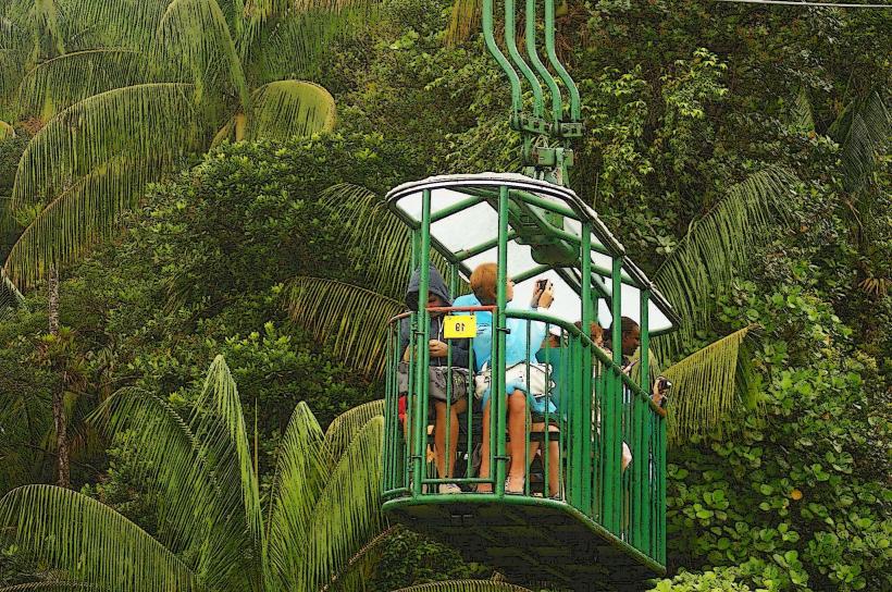 Rainforest Aerial Tram