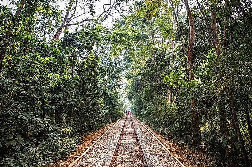 Lawachara National Park