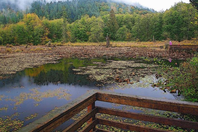 McLane Creek Nature Trail