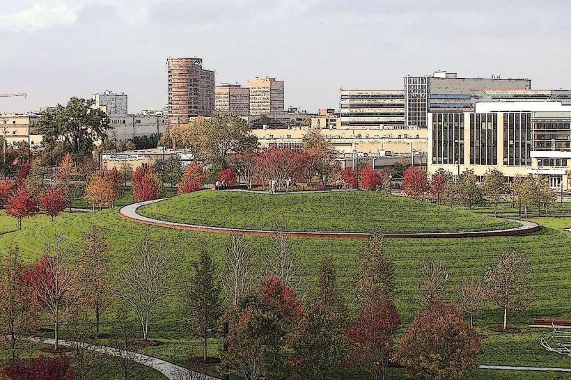 Gold Medal Park