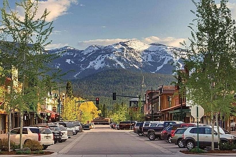 Whitefish