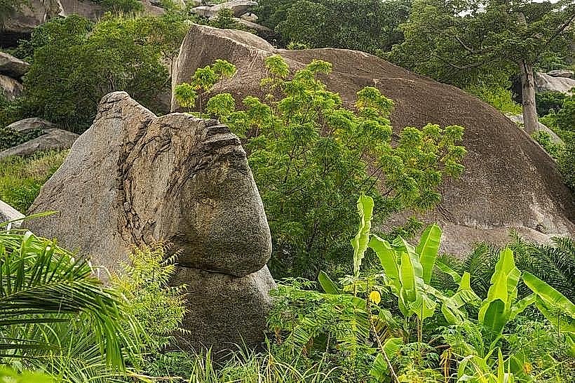 Dassa Sacred Forests