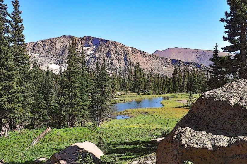 Wild Basin Area