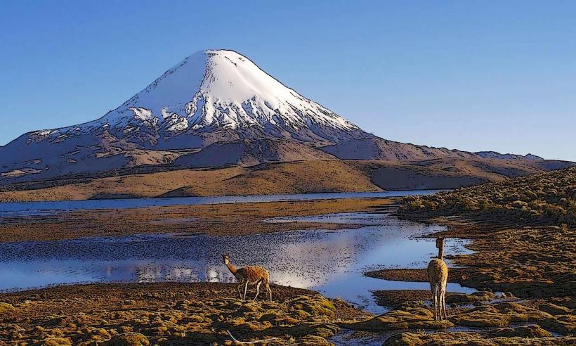 Parque Nacional Lauca Национален парк Lauca parque nacional lauca е