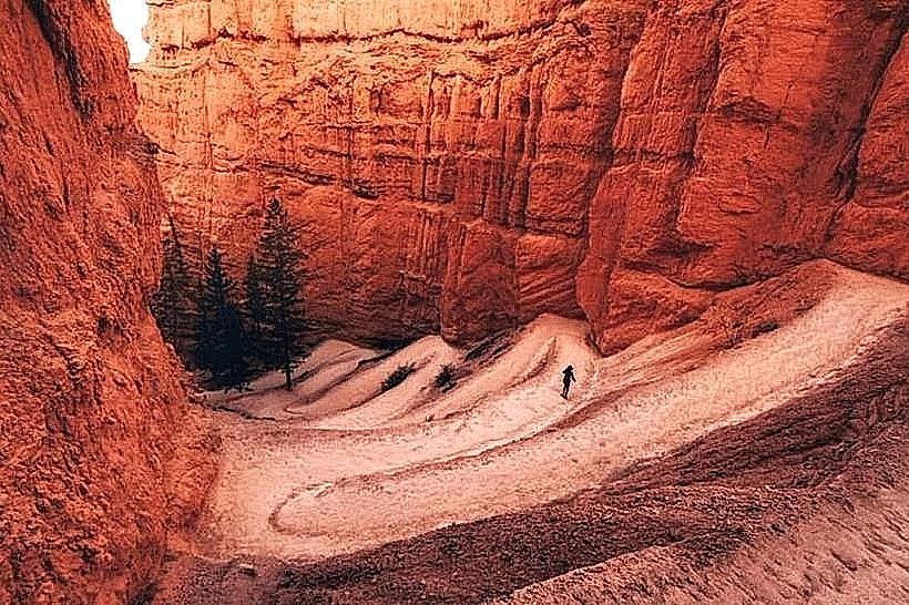 Navajo Loop Trail