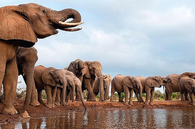 Luiana National Park