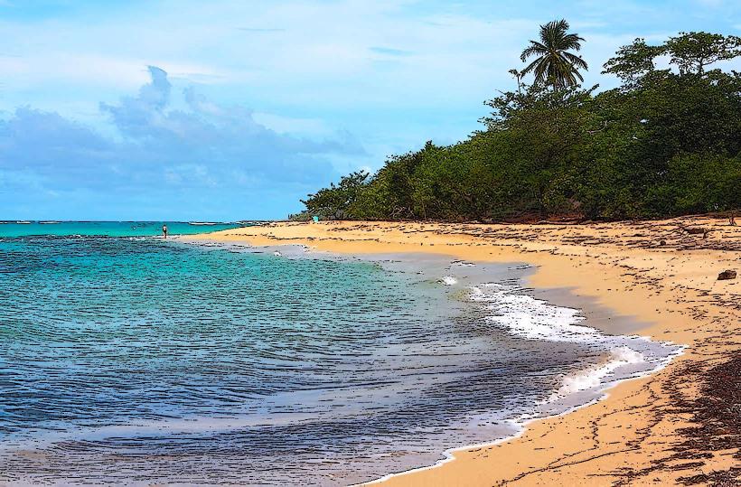 Playa Maguana