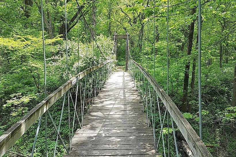Wilderness Park