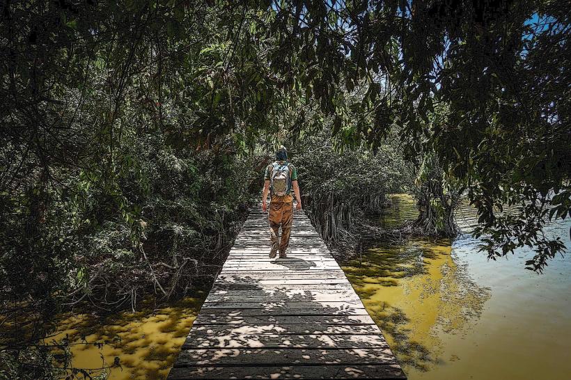 Природен резерват Charco Verde