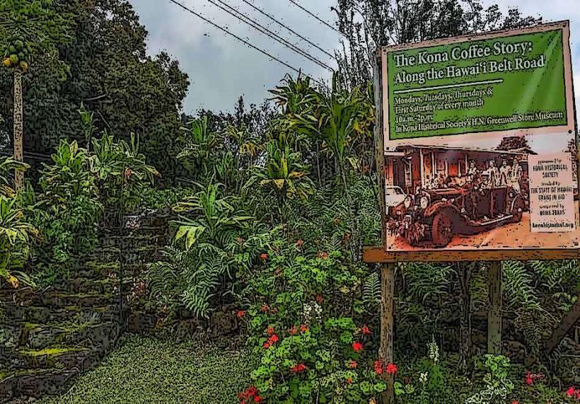 Kona Coffee Living History Farm