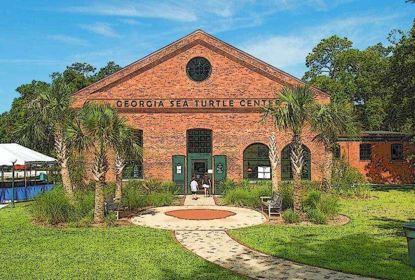 Georgia Sea Turtle Center