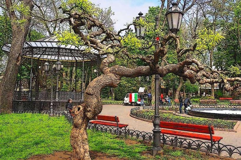 City Garden