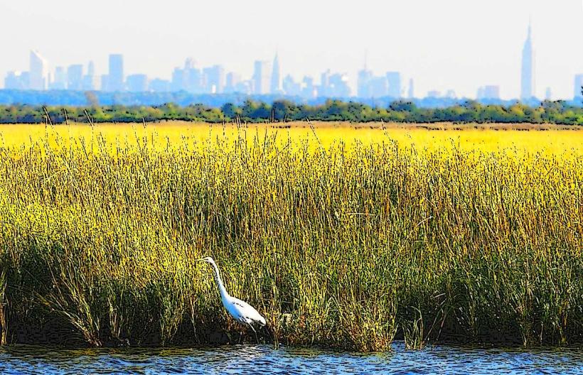 Jamaica Bay Wildlife Refuge