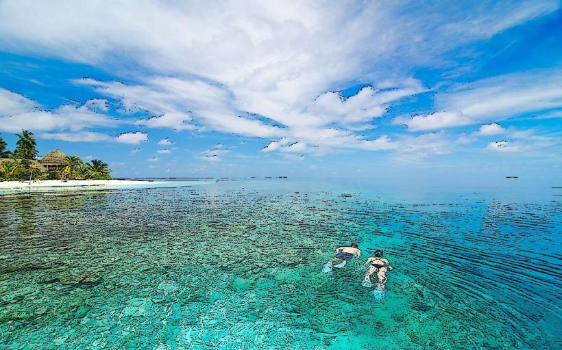 Maldives Island Diving