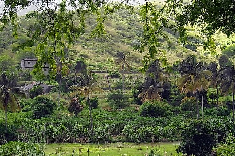 São Jorge dos Órgãos Botanical Area