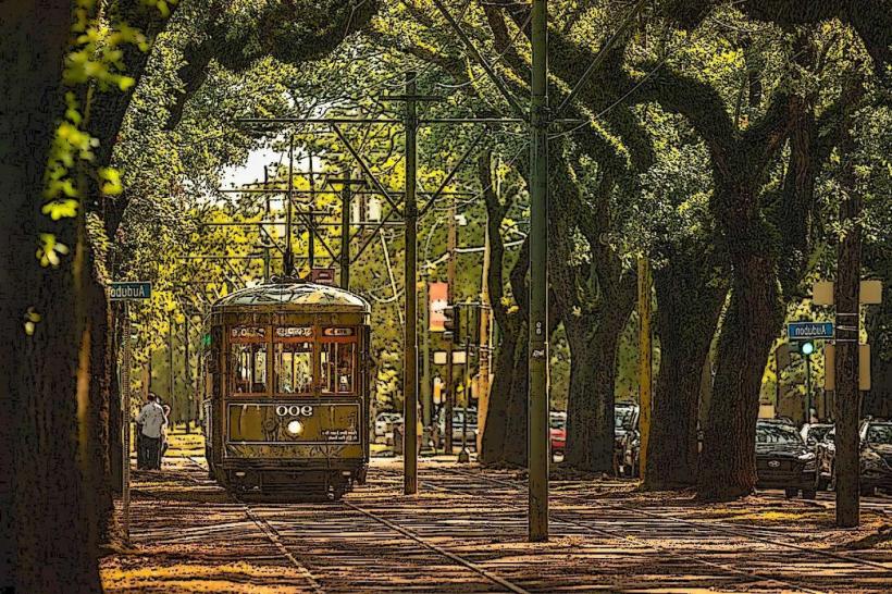 Garden District