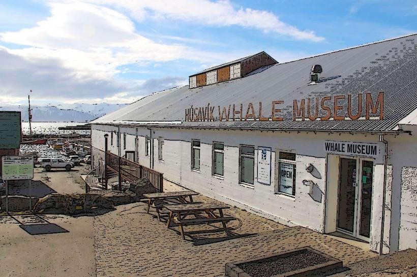 Musée des baleines de Húsavík