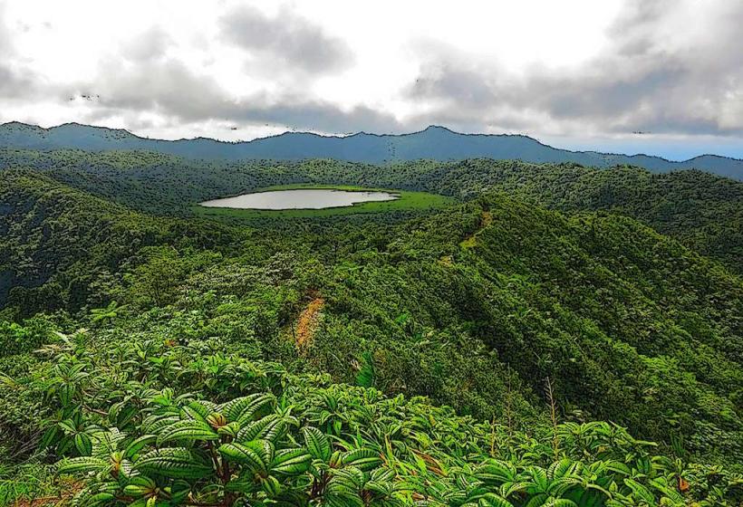 Grand Etang National Park