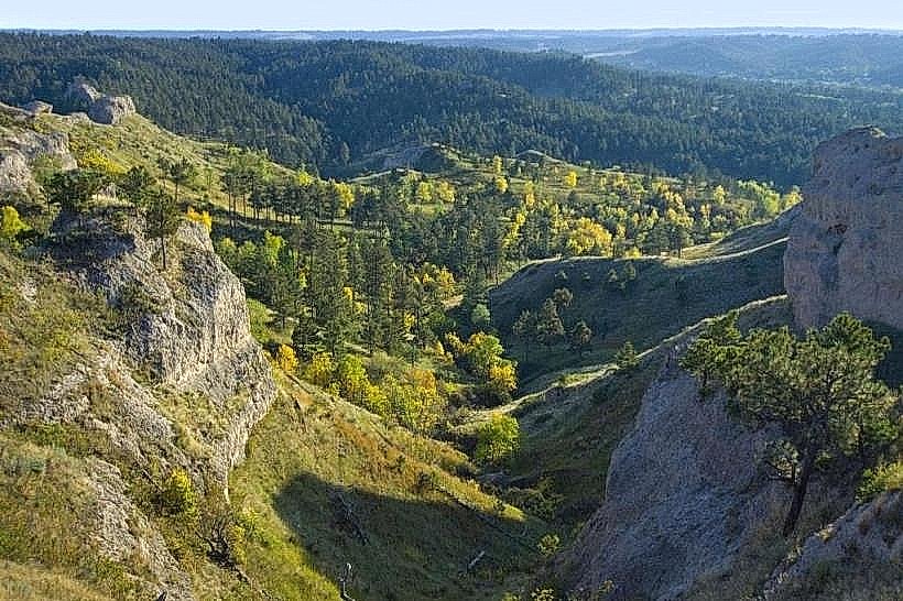 Pine Ridge Trail