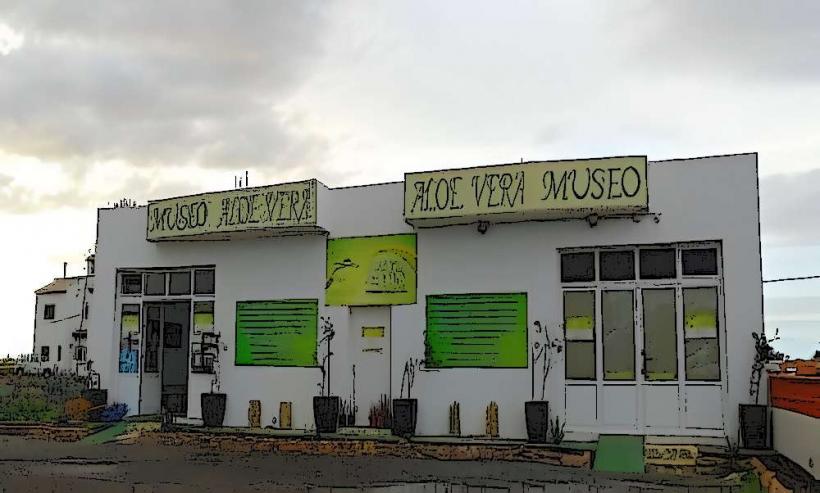 Museo de la Aloe Vera