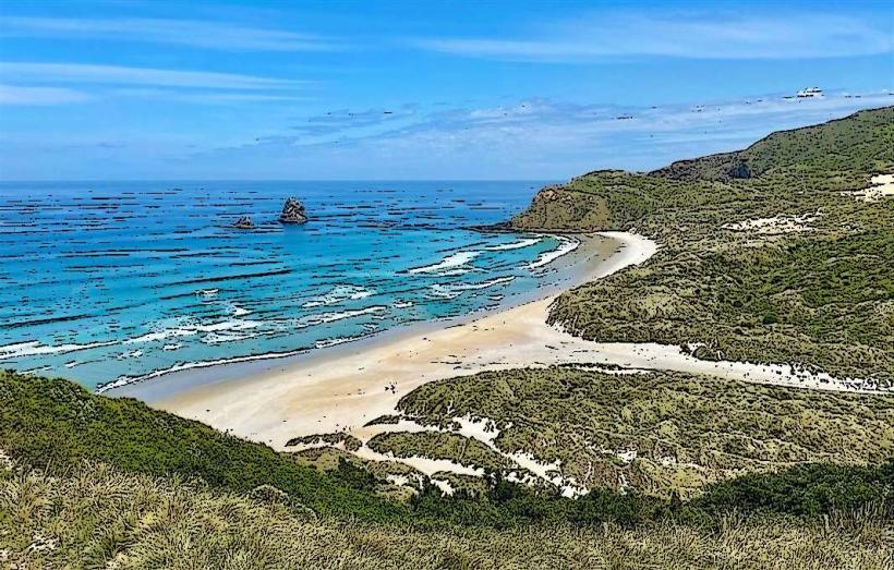 Sandfly Bay