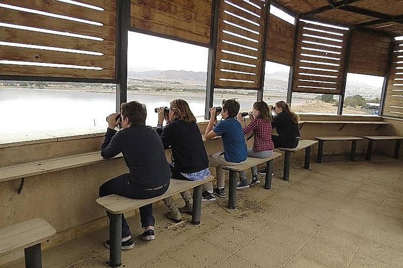 Aqaba Bird Observatory