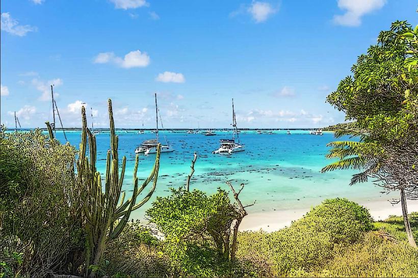 Petit Rameau Tobago Cays Saint Vincent and the Grenadines petit