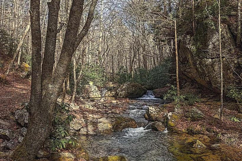 Lamar Alexander Rocky Fork State Park